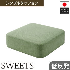 【ふるさと納税】 【四角・カシコングリーン】シンプルクッション「SWEETS」 ／ インテリア雑貨 低反発 軽量 収納 送料無料 神奈川県