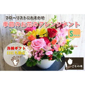 yӂ邳Ɣ[ŁzG߂̂Ԃ̃t[AWg STCY ^  G p Mtg 蕨  _ސ쌧
