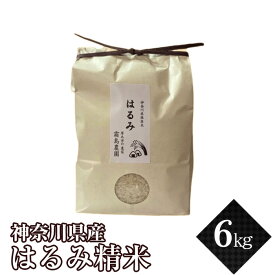 【ふるさと納税】神奈川県産はるみ精米6kg ／ お米 ブランド米 甘み 特A 送料無料 神奈川県