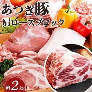 yӂ邳Ɣ[Łz Ȃ̖Y100I@؁@[XubN ^ uh  Â Nx i ؓ Ԃ  _ސ쌧
