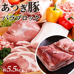 yӂ邳Ɣ[Łz Ȃ̖Y100I@؁@oubN ^ uh  Â Nx i ؓ Ԃ  _ސ쌧