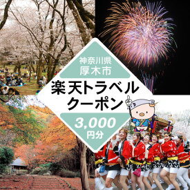 【ふるさと納税】 神奈川県厚木市の対象施設で使える楽天トラベルクーポン寄付額10,000円