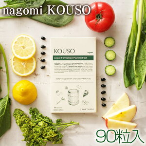 yӂ邳Ɣ[Łznagomi KOUSOi90j ^ Tv Tvg yf { Y  ʕ C ̂ 93 h{f Ïk ₩  _ސ쌧