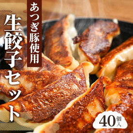 【ふるさと納税】あつぎ豚 生餃子セット ／ 餃子 豚肉 冷凍食品 生餃子 おかず 夕食 時短 便利 フライパン調理 国産材料 家庭用 中華 惣菜 厚木市