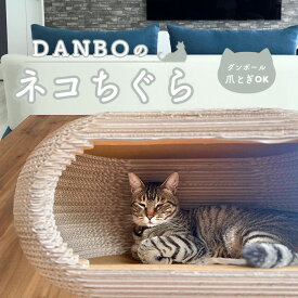 【ふるさと納税】DANBOのネコちぐら（段ボール製） ／ ネコちぐら 段ボール ペットハウス 猫用 ハウス 室内 軽量 組立簡単 厚木市
