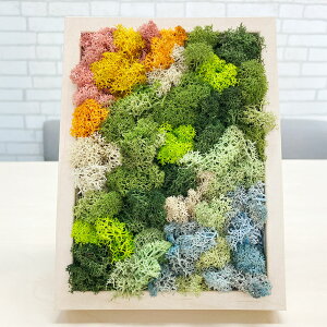 yӂ邳Ɣ[Łz XJfBAX A[g[N gJ[Fo[` i19.6cm×14.8cm×H4`5cmj k VRf eiXsv sv CeA G A R Ǐ Ǌ|  