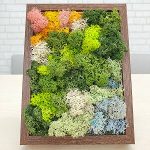 yӂ邳Ɣ[ŁzXJfBAX A[g[N gJ[FuEi19.6cm×14.8cm×H4`5cmj k VRf eiXsv sv CeA G A R Ǐ Ǌ|  
