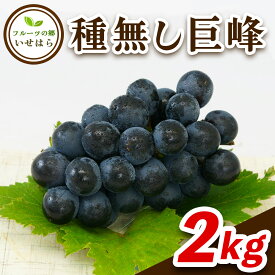 【ふるさと納税】[2025年8月中旬以降発送 数量限定] 2025年産フルーツの郷いせはら 種無し巨峰 2kg｜先行予約 [0360]