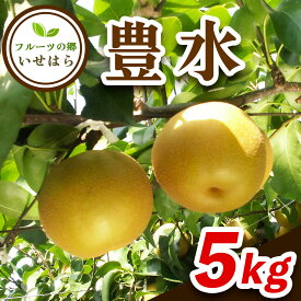 【ふるさと納税】[2025年8月下旬以降発送 数量限定] 2025年産フルーツの郷いせはら 豊水 5kg｜先行予約 [0361]