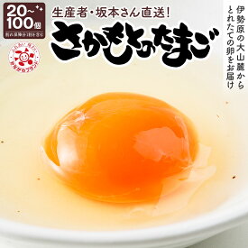 【ふるさと納税】《2026年5月下旬より順次発送》坂本養鶏 大山の麓で育った さかもとのたまご [選べる数量： 20個から100個 (割れ保証含む)]｜伊勢原市 赤玉卵 玉子 鶏卵 生卵 国産 TKG タマゴ 新鮮 大山 鶏 ギフト 安心 安全 親子丼 卵焼き 目玉焼き [0788-0789][0924-0927]