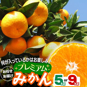 yӂ邳Ɣ[Łz[2026N1{甭] v~A݂ 5kg^9kg i킨܂bs\ ݂ t[c ʕ k [0531-0533]