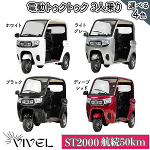 yӂ邳Ɣ[ŁzsdgDNgDNtVIVEL (EV TRIKE) 3l ST2000 (Iׂ4F^zCgAubNACgO[AfB[vbh) q50kmbrxgCN dCgCN EVgDNgDN 