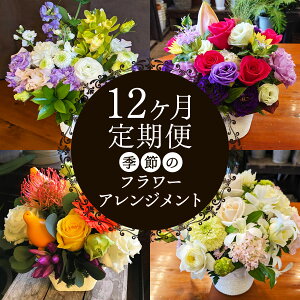 yӂ邳Ɣ[Łz[ց^12] G߂邨Ԃ͂ (t[AWg) ͂ Ԃ̓XNOBUvf[Xb  AW  ͂ t[ ɐs [0616]