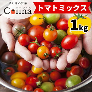 yӂ邳Ɣ[Łz[2025N12{蔭] Coiinag}g~bNX IIlߍ킹Zbg 1kgbRCCi RC[i Z uhg}g Rs ACbN͔| Â | Hǂ [0670]