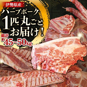 yӂ邳Ɣ[Łz[] n[uňi|[N 1C ܂邲Ƃ͂Ib_ސ쌧 Mtg  v[g lC yY  ̓  ؓ [0729]