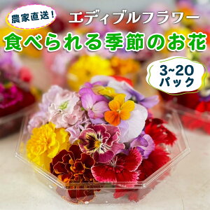 �y�ӂ邳�Ɣ[�Łz�_�ƒ����I�������񂿂̃G�f�B�u���t�����[�s�I�ׂ�p�b�N���F3�p�b�N�^5�p�b�N�^10�p�b�N�^15�p�b�N�^20�p�b�N�t(1�p�b�N������G�߂̂���15�ւ���30��)�b�H�p �� ���� ��