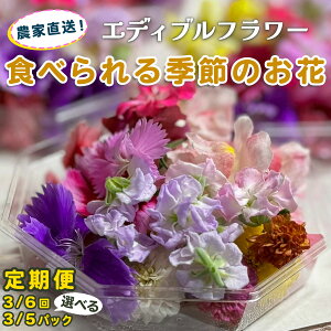 yӂ邳Ɣ[Łz[ցsIׂ񐔁F3^6t] _ƒI񂿂̃GfBut[sIׂpbN (1񂠂)F3pbN^5pbNt(1pbNG߂̂15ւ30)b