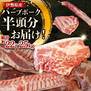 yӂ邳Ɣ[Łz[] n[uňi|[N  (0.5)  ܂邲Ƃ͂Ib_ސ쌧 Mtg  v[g lC yY  ̓  ؓ [0787]