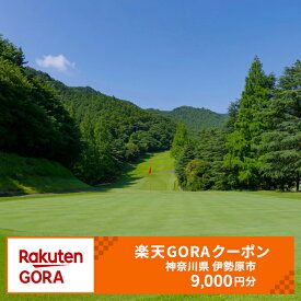 【ふるさと納税】神奈川県伊勢原市の対象ゴルフ場で使える楽天GORAクーポン 寄付額30,000円 [0697]
