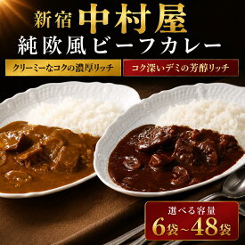 【ふるさと納税】 新宿中村屋 ビーフ カレー クリーミー 濃厚 リッチ コク深い デミ 芳醇 リッチ 2種 6袋/12袋/24袋/48袋 レトルト レトルトカレー カレーライス レトルト食品 レトルトパック 防災 備蓄 備蓄食 非常食 保存食 詰合せ お取り寄せ 神奈川 海老名