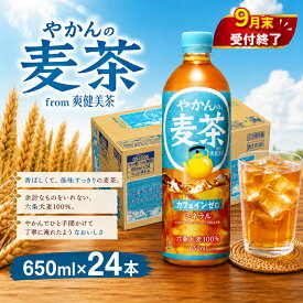 【ふるさと納税】 【9月末掲載終了】やかんの麦茶 PET 650ml × 24本 セット お茶 麦茶 むぎ茶 まとめ買い ペットボトル ぺっとぼとる お茶 おちゃ 御茶 茶葉 飲料 ドリンク 飲み物 のみもの 防災グッズ 日用品 日常使い 生活用品 防災 備蓄 コカコーラ 神奈川 海老名