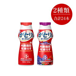 【ふるさと納税】雪印メグミルクガセリ菌SP株ドリンクヨーグルト&ベリーミックス2箱詰合せ(BM)5826-0241【飲むヨーグルトまとめ買い神奈川県海老名市】