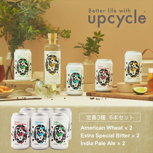 yӂ邳Ɣ[ŁzTXeBiuENtgr[ ݔ3 6{Zbg y Ntgr[ Mtg  OsO Lv v[g nr[ AW ESB IPA l 350ml  _ސ