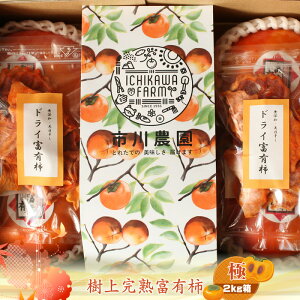 yӂ邳Ɣ[ŁzÏnxL` yɁz2kg@qo׎F2025N1120o׊Jn`2025N1215o׏Iry `  t[c _ސ쌧 CVs z