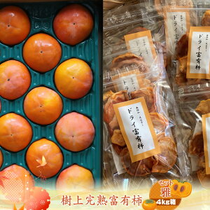 yӂ邳Ɣ[ŁzÏnxL` yZbgz4kg@qo׎F2025N1120o׊Jn`2025N1215o׏Iry `  t[c _ސ쌧 CVs z