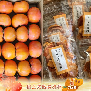 yӂ邳Ɣ[ŁzÏnxL` yZbgcz7kg@qo׎F2025N1120o׊Jn`2025N1215o׏Iry `  t[c _ސ쌧 CVs z