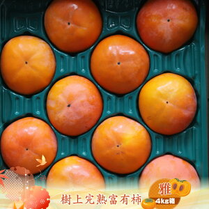 yӂ邳Ɣ[ŁzÏnxL` yz4kg@qo׎F2025N1120o׊Jn`2025N1215o׏Iry `  t[c _ސ쌧 CVs z