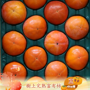 yӂ邳Ɣ[ŁzÏnxL` ybz4kg@qo׎F2025N1120o׊Jn`2025N1215o׏Iry `  t[c _ސ쌧 CVs z