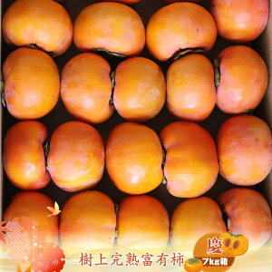 yӂ邳Ɣ[ŁzÏnxL` ycz7kg@qo׎F2025N1120o׊Jn`2025N1215o׏Iry `  t[c _ސ쌧 CVs z