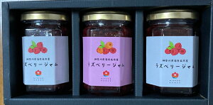 【ふるさと納税】海老名産ラズベリージャム【 ラズベリー ジャム レッドラズベリー 160g 2瓶 | オレンジ×レッドラズベリー 160g 1瓶 神奈川県 海老名市 】