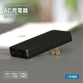 【ふるさと納税】Owltech 薄さ14mm 最大PD65W出力 GaN採用 USB Type-C×2 AC充電器 OEC-APD65C2G-BK【 ガジェット 海老名市 】