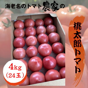 yӂ邳Ɣ[Łz2026Nn@ʌ@s\񁚊CṼg}g_Ƃ̓Yg}g@4kgi24ʁjqo׎F2026N515`2026N615ry g}g _ސ쌧 CVs z