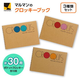 【ふるさと納税】ポケットクロッキー　3種　セット｜画材 色彩 鉛筆 画用紙 お絵描き 絵 デッサン 絵具 ボールペン クレヨン 文具 アイデア ペン マーカー 色鉛筆