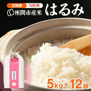 yӂ邳Ɣ[Łzyցz12 ԎsY ͂5kg×12 ւ̔zs 2025N10{菇\