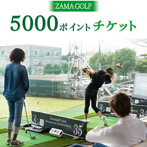 【ふるさと納税】ZAMA GOLF 5000ポイントチケット