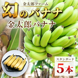 yӂ邳Ɣ[Łzr[Ly[{쑫YYoii X^_[hi͔|Ԓ_sgpj5{ZbgyMtg v[g 蕨 Ԃ  Yoii ʕ 