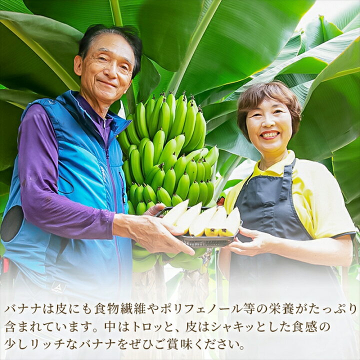 楽天市場】【ふるさと納税】南足柄産国産バナナ スタンダード（栽培 