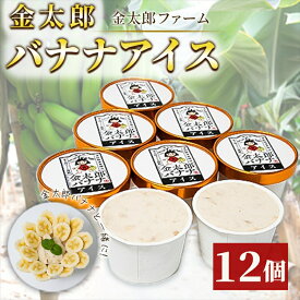 【ふるさと納税】金太郎バナナアイス（12個） 栽培期間中農薬不使用 【国産 ギフト プレゼント 贈り物 お返し おいしい 果物 くだもの フルーツ お歳暮 お中元 】