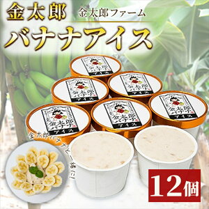 yӂ邳Ɣ[Łzr[Ly[{YoiiACXi12j ͔|Ԓ_sgp yY Mtg v[g 蕨 Ԃ  ʕ  t[c Ε 