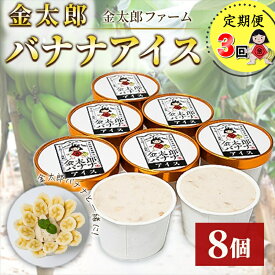 【ふるさと納税】定期便：金太郎バナナアイス（24個）：8個×3回（毎月お届け） 毎栽培期間中農薬不使用 【国産 ギフト プレゼント 贈り物 お返し おいしい 果物 くだもの フルーツ お歳暮 お中元 】