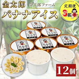 【ふるさと納税】定期便：金太郎バナナアイス（36個）：12個×3回（毎月お届け） 毎栽培期間中農薬不使用 【国産 ギフト プレゼント 贈り物 お返し おいしい 果物 くだもの フルーツ お歳暮 お中元 】