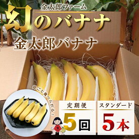 【ふるさと納税】定期便：スタンダード 金太郎バナナ（25本） 5本×5回（毎月お届け） 栽培期間中農薬不使用 【国産 ギフト プレゼント 贈り物 お返し おいしい 金太郎バナナ 果物 くだもの フルーツ お歳暮 お中元 】