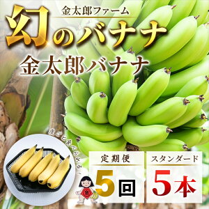 2025年4月 ふるさと納税 バナナの人気返礼品ランキング - 価格.com