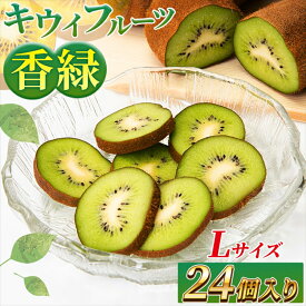 【ふるさと納税】希少キウイフルーツ 「香緑」。Lサイズ 24個入り 糖度16度。甘くておいしい【 高級ブランド】＜出荷時期：2025年12月15日出荷開始〜2026年1月15日出荷終了＞｜キウイ フルーツ 果物 くだもの 神奈川県 南足柄市