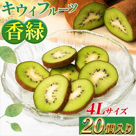 【ふるさと納税】希少キウイフルーツ 「香緑」。4Lサイズ 20個入り 糖度16度。甘くておいしい｜キウイ フルーツ 果物 くだもの 神奈川県 南足柄市