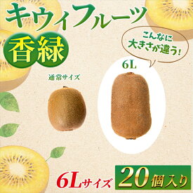 【ふるさと納税】希少キウイフルーツ 「香緑」。6Lサイズ 20個入り 糖度16度。甘くておいしい＜出荷時期：2025年12月15日出荷開始〜2026年1月15日出荷終了＞｜キウイ フルーツ 果物 くだもの 神奈川県 南足柄市